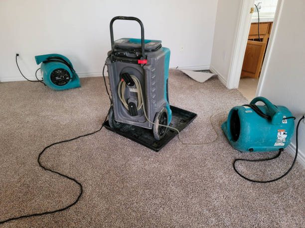 Best Water damage restoration near me  in Pacific, WA