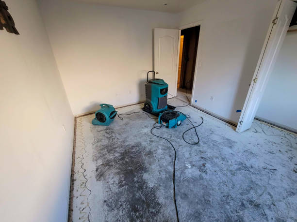 Best Flooded house restoration  in Pacific, WA