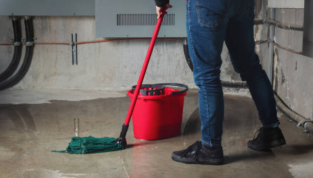 Best Fire Damage Restoration  in Pacific, WA