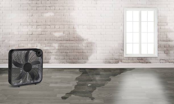  Pacific, WA Water damage restoration Pros